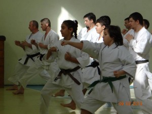 226445_525822337459898_1112574284_n